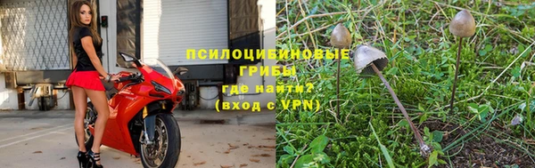 дурь Аркадак