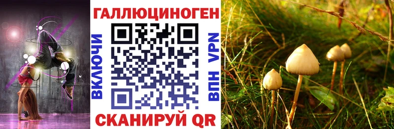 Псилоцибиновые грибы мицелий  Балабаново 